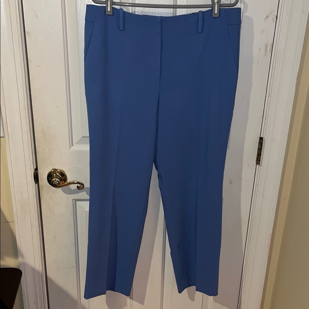 NWT Talbots Southhampton Blue Ankle Pants Women’s 14P